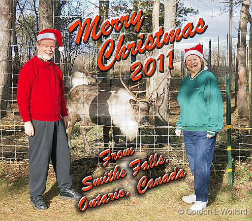 Merry Christmas 2011_19878.jpg - Photographed at Smiths Falls, Ontario, Canada.